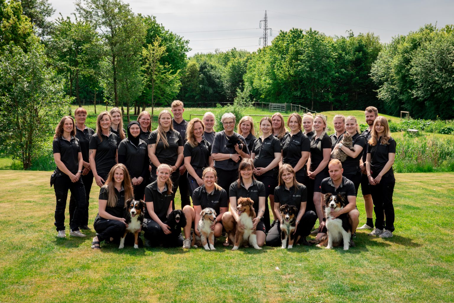 Vestermose Dyrekliniks team samlet med hunde – fællesfoto fra 2026